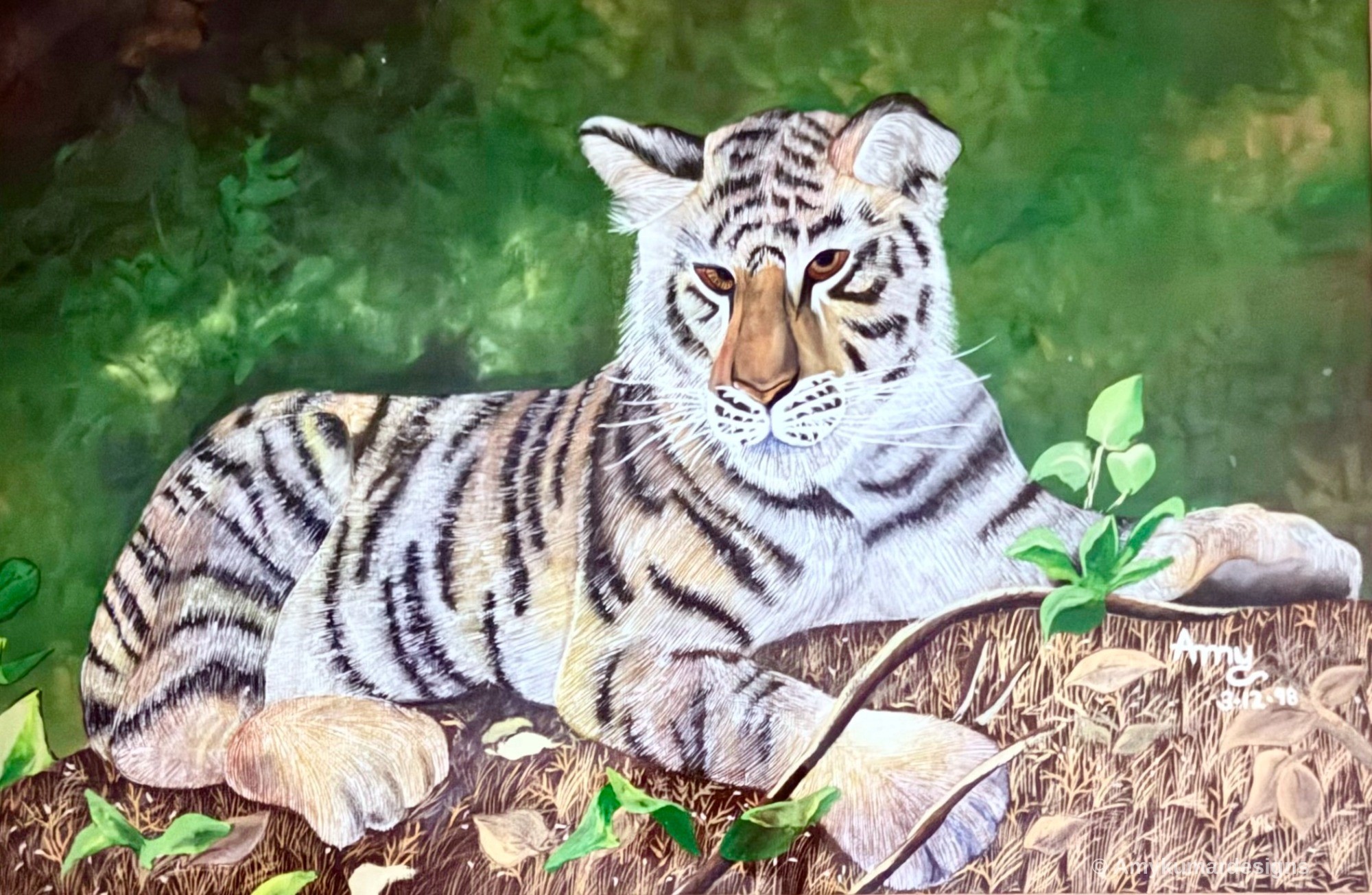 The big cat is watching